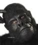 Best Cheap Gorilla Mask