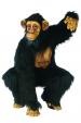 Adult Comical Chimp Gorilla Costume