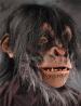 Deluxe Chimp Mask