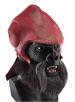 Planet of the Apes Gorilla Mask